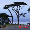 big_sur_half_marathon6 16214