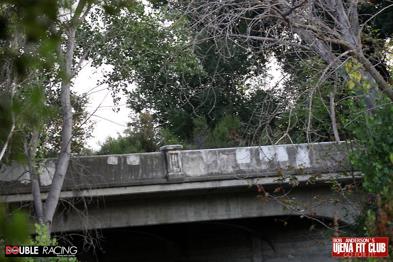 15k_san_jose64 f 46221