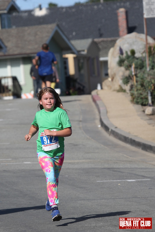 double_road_race_15k_challenge f 51611